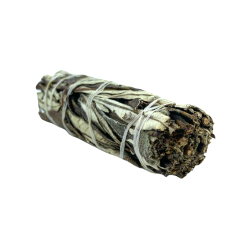 California Black Santa Yerba Sage in Bündeln.
