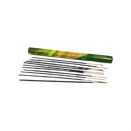 Box of 10 giant eucalyptus incense sticks.